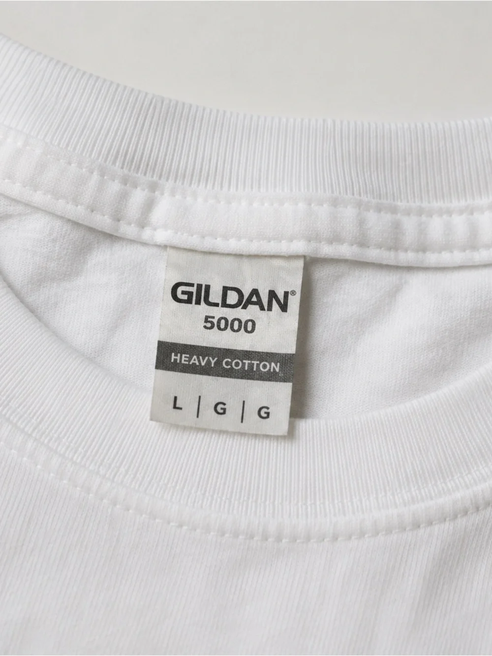 Gildan 5000 White Short-Sleeve Tee with Blue Graphic Photo Print Streetwear